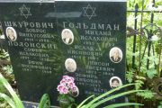 Гольдман Михаил Исаакович, Москва, Востряковское кладбище